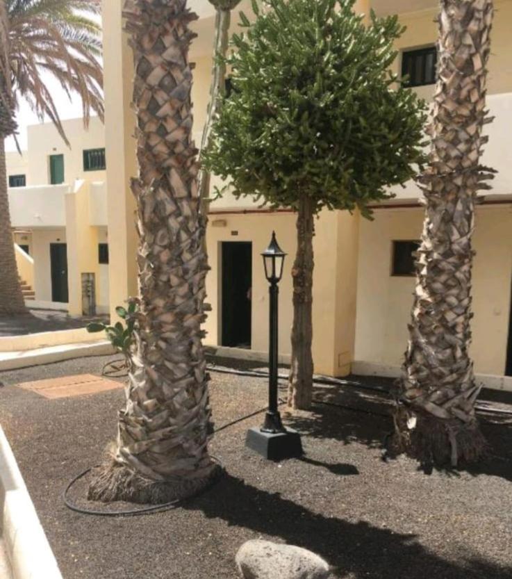 Suri Costa Teguise Appartement Buitenkant foto