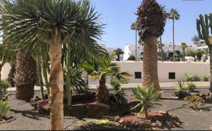 Suri Costa Teguise Appartement Buitenkant foto